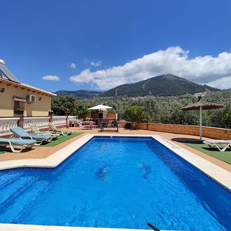 Los Olivos Málaga Exteriör bild